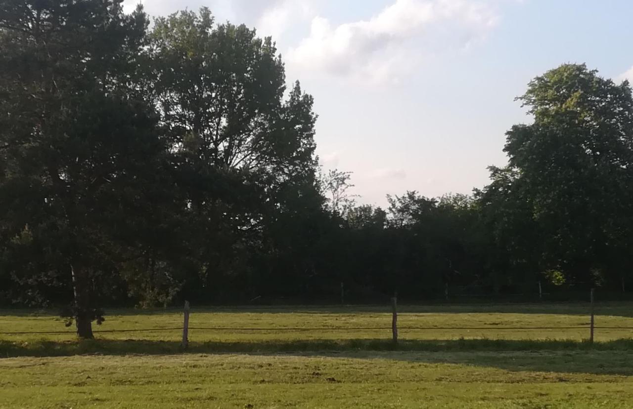 הוילה Saint-Romain-sur-Cher Les Pres Du Petit Morlu - Proche Beauval מראה חיצוני תמונה