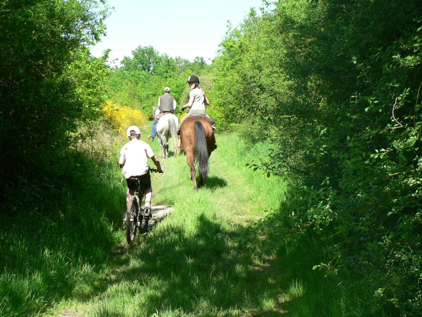 הוילה Saint-Romain-sur-Cher Les Pres Du Petit Morlu - Proche Beauval מראה חיצוני תמונה